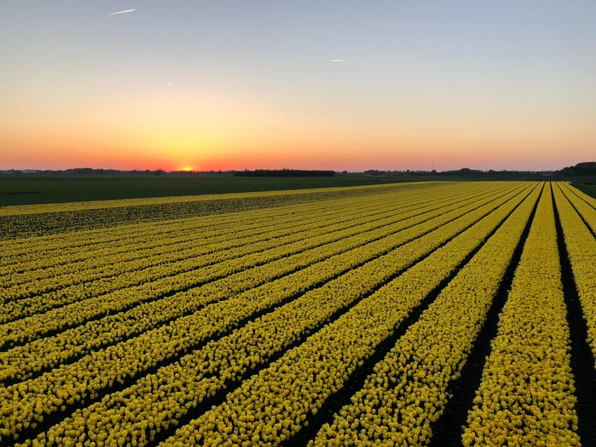 From Amsterdam: The Early Flower Tour, full day with Lunch - The Windmill Stop: Water Management, Not Just Photos