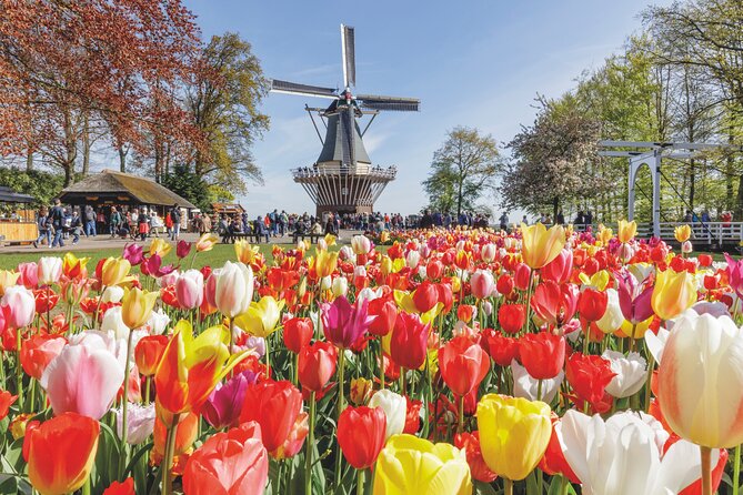 Full-Day Skip the Line Keukenhof and Canal Cruise from Amsterdam - Key things to know before you go