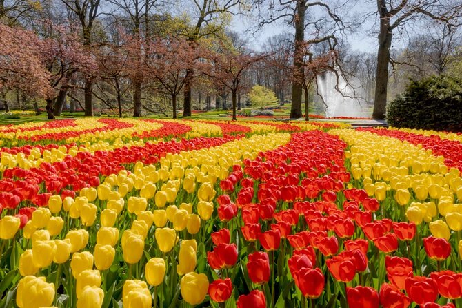 Full-Day Skip the Line Keukenhof and Canal Cruise from Amsterdam - Skip-the-line Keukenhof entry and seven hours to enjoy it