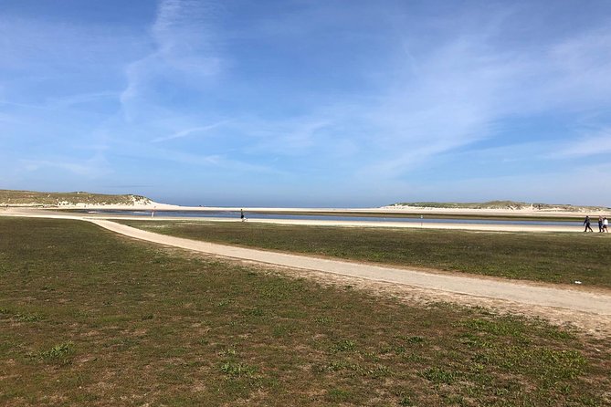Full day tour to Texel - Friesian Islands - from Amsterdam - Key Highlights You’ll Actually Care About