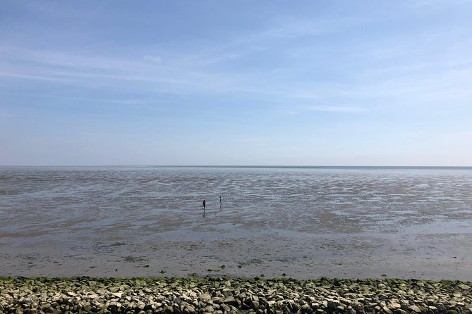 Full day tour to Texel - Friesian Islands - from Amsterdam - Small Group Energy, English Commentary, and the Pace of the Day