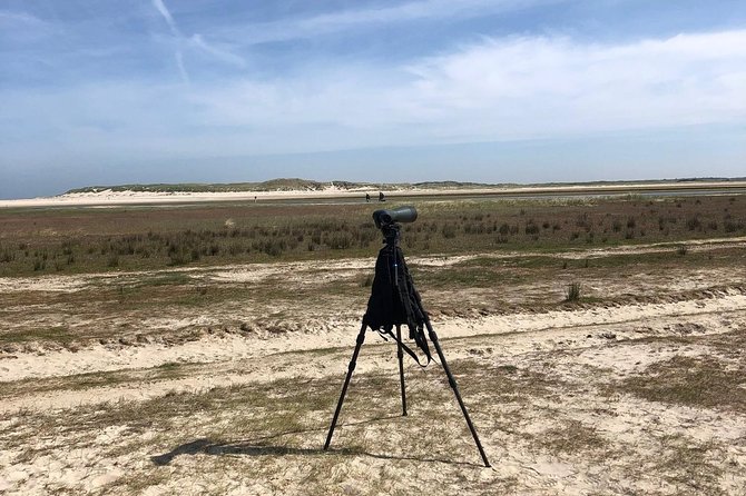 Full day tour to Texel - Friesian Islands - from Amsterdam - Price and Logistics: Is $299.57 Worth It?