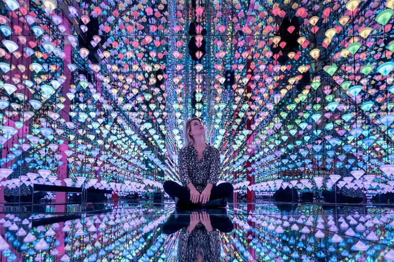 Go City Amsterdam Pass: Attractions Pass with Rijksmuseum - Heineken Experience and House of Bols: Alcohol, But Make It Dutch History