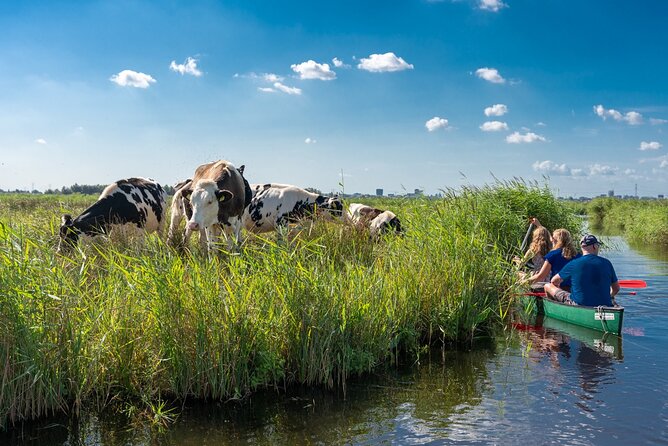 Guided Canoe Adventure with Picnic Lunch in Waterland from Amsterdam - Key things that make this Waterland canoe trip work