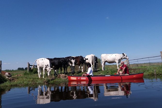 Guided Canoe Adventure with Picnic Lunch in Waterland from Amsterdam - The halfway stop: picnic lunch on an island