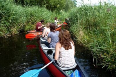 Guided Canoe Adventure with Picnic Lunch in Waterland from Amsterdam