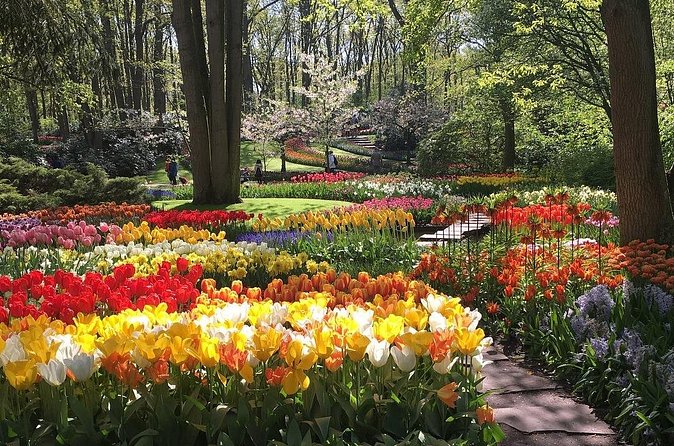 Half Day Keukenhof Tulip Paradise Trip from Amsterdam - Keukenhof Gardens: prebooked entry and a self-guided stroll