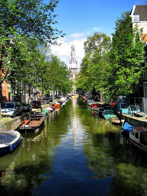 Historic Amsterdam 2-Hour Private Tour with Local Guide - The canal-logic lesson: wealth, merchants, and the 17th century