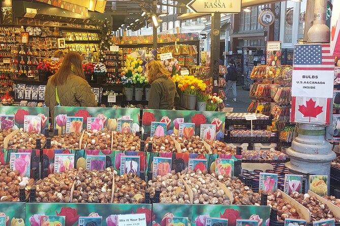 IJmuiden to Amsterdam: 4.5-Hour Hop-On Hop-Off Shore Excursion - Vondelpark and the 9 Streets: a calmer pace inside the city
