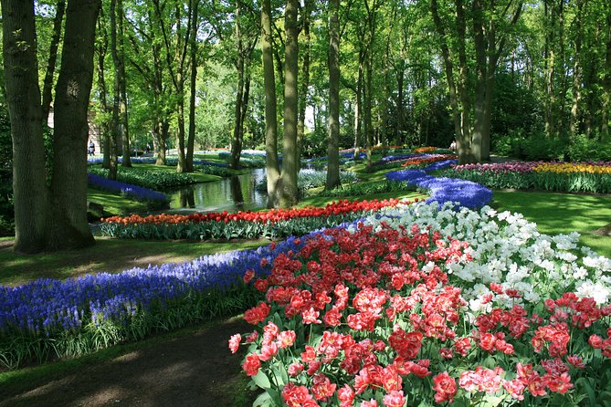 Keukenhof and Flower Fields Private Tour from Amsterdam - Flower fields viewpoints on the way to Keukenhof