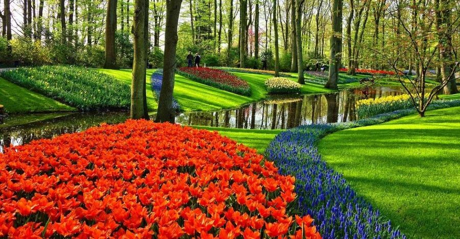 Keukenhof Gardens and Tulip Experience Tour from Amsterdam - Hotel pickup to Keukenhof, with a small-group pace that fits