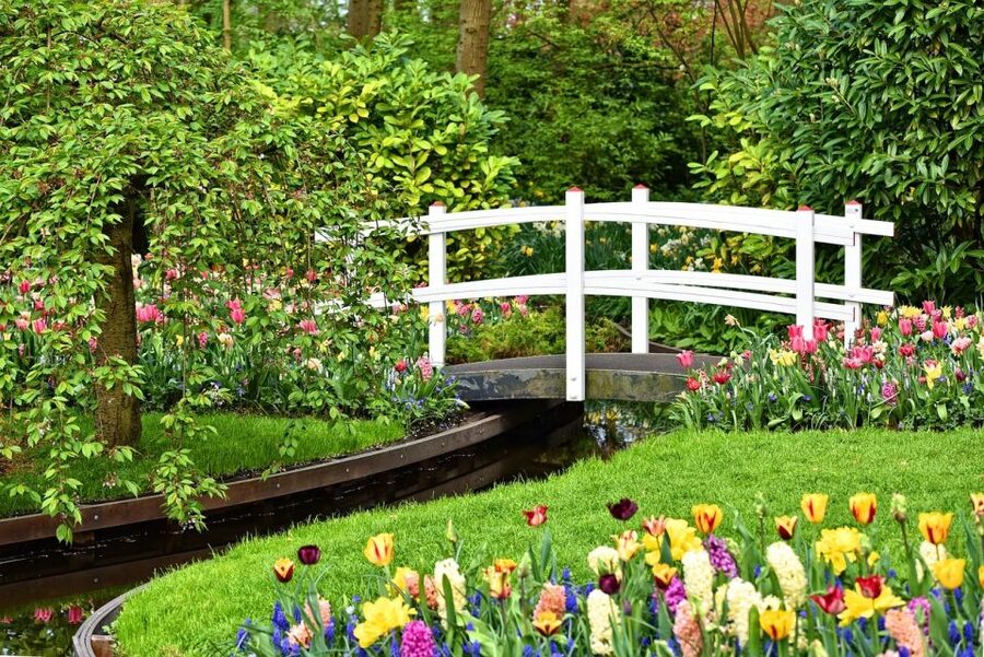Keukenhof Gardens and Tulip Experience Tour from Amsterdam - The 5-minute transfer that keeps your day on track