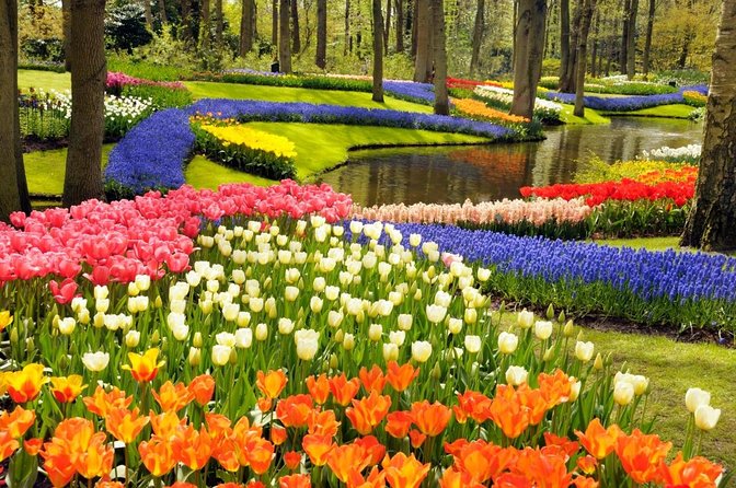 Keukenhof Gardens & Tulip Experience Tour from Amsterdam - Getting to the countryside from Amsterdam: pickup and timing reality
