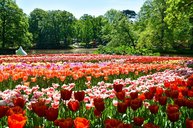 Keukenhof Gardens & Tulip Experience Tour from Amsterdam - Keukenhof Gardens: 32 hectares, 15 km of paths, and peak-spring crowds