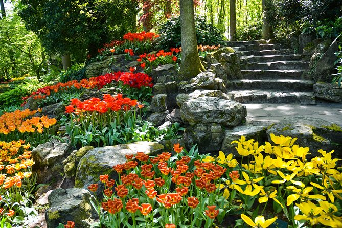Keukenhof Gardens & Tulip Experience Tour from Amsterdam - Price and value: what you’re really paying for