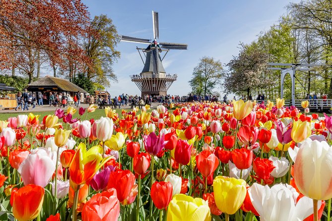 Keukenhof Gardens & Tulip Experience Tour from Amsterdam - Tulip Experience Amsterdam: indoor learning, then big photo fields