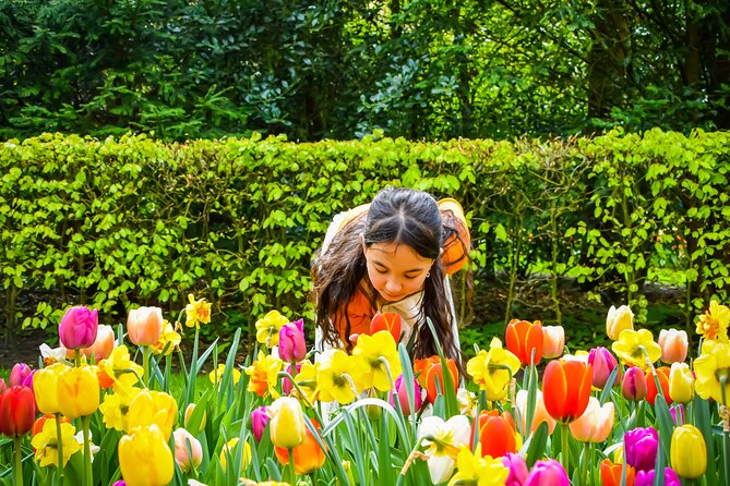 Keukenhof Luxury Private tour w. Canal Cruise & Tulip Experience - The Mercedes-Benz Ride: Quiet Comfort Through Dutch Countryside