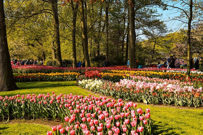 Keukenhof Luxury Private tour w. Canal Cruise & Tulip Experience - Timing and Pacing: A Two-Hour Plan That Demands Priorities