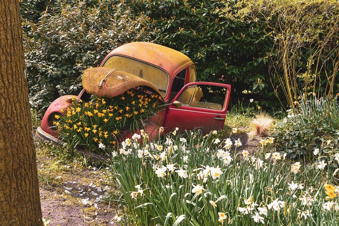 Keukenhof Luxury Private tour w. Canal Cruise & Tulip Experience - What the Service Feels Like: On-Time, Clean, and Friendly