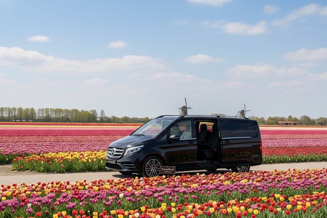 Keukenhof Luxury Private tour w. Canal Cruise & Tulip Experience - The Scenic Photo Stops on the Way: Dutch Views You Can’t Replicate Back in Town