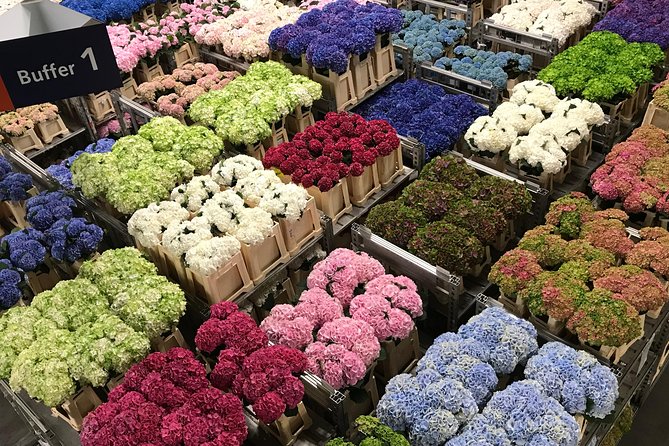 Keukenhof Private Floral Tour from Amsterdam - Logistics That Actually Matter: Pickup, Transport, and Start Time