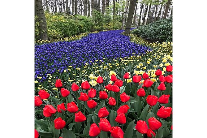 Keukenhof Private Floral Tour from Amsterdam - Hans Langh and the Small-Group Advantage (Up to 8)