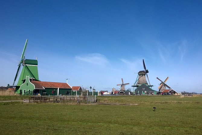 Keukenhof's Tulips and Windmills Small-Group Tour from Amsterdam - Catharina Hoeve cheese tasting: Gouda and the culture behind it