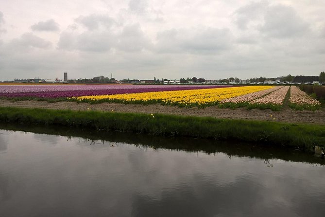 Keukenhof's Tulips and Windmills Small-Group Tour from Amsterdam - Keukenhof Gardens: 3 hours of freedom in a huge world