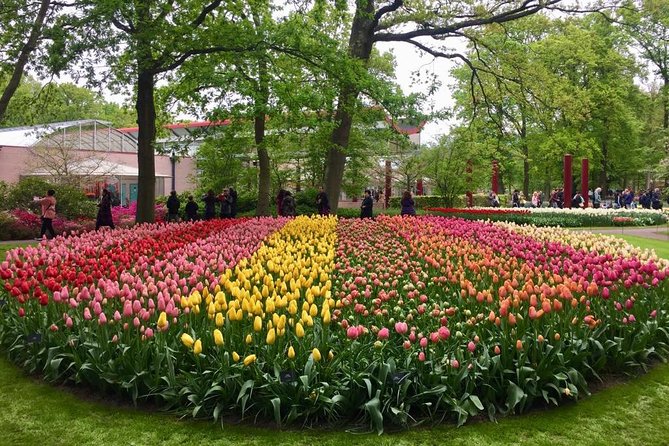 Keukenhof's Tulips and Windmills Small-Group Tour from Amsterdam - Timing, crowds, and the day that can go orange