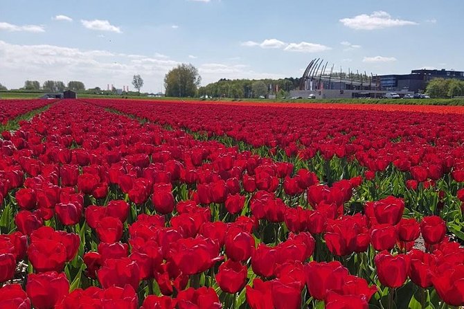 Keukenhof Skip-the-line Tickets: Countryside & Farm Private Tour - Keukenhof Gardens with skip-the-line: where your time should go