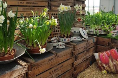 Keukenhof Skip-the-line Tickets: Countryside & Farm Private Tour