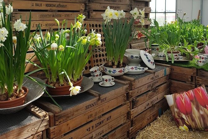 Keukenhof Skip-the-line Tickets: Countryside & Farm Private Tour - Pickup and Mercedes comfort: how you stay sane for 8 hours