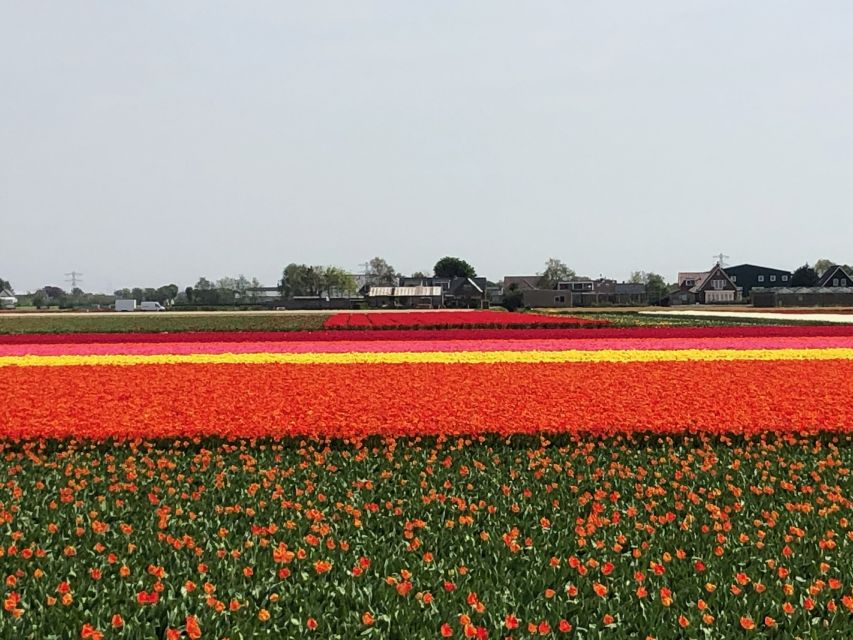 Keukenhof, Tulip Farm, Flower Fields & Windmills - What to pack, how to dress, and how to keep your day easy