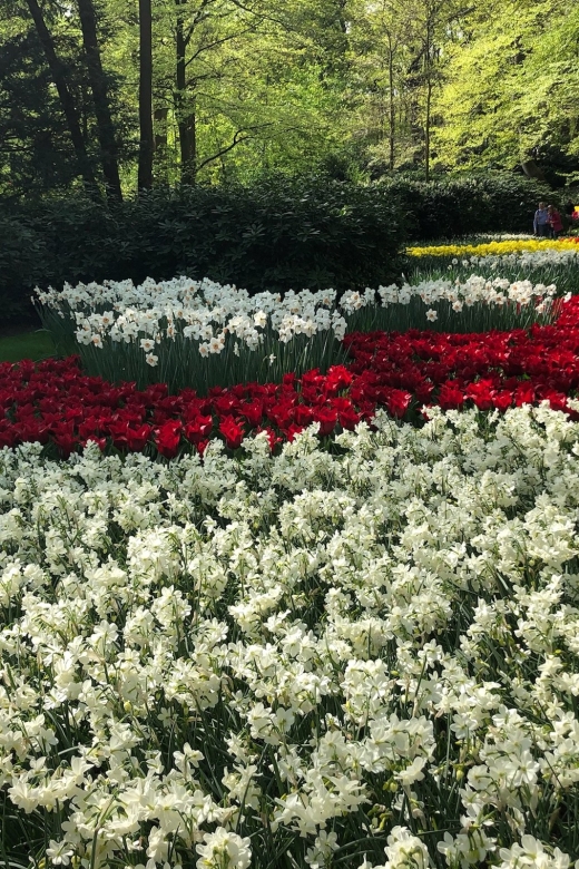 Keukenhof, Tulip Farm, Flower Fields & Windmills - The practical flow: from Amsterdam pickup to a non-rushed day