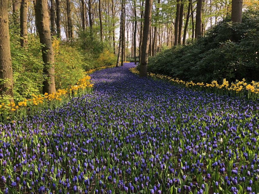 Keukenhof, Tulip Farm, Flower Fields & Windmills - Volendam and Marken walking tour: colorful houses and old island streets