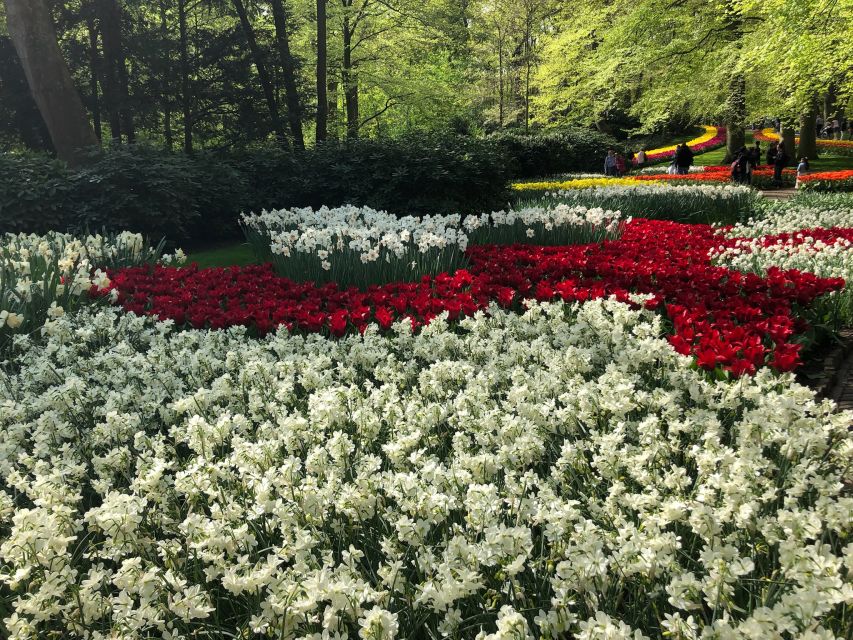 Keukenhof, Tulip Farm, Flower Fields & Windmills - Price and value: what $347 per person actually buys