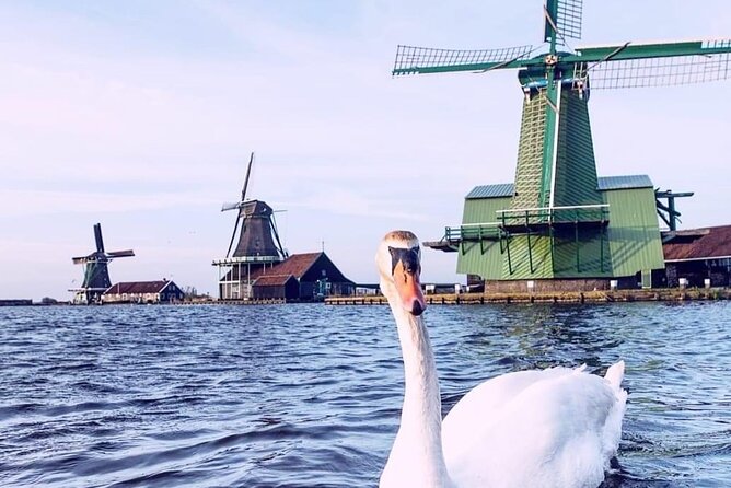 Keukenhof, Tulip Farm, Flower Fields & Zaanse Schans Windmills - Flower Fields and a Tulip Farm Stop: Photo Stops That Actually Let You Get Out