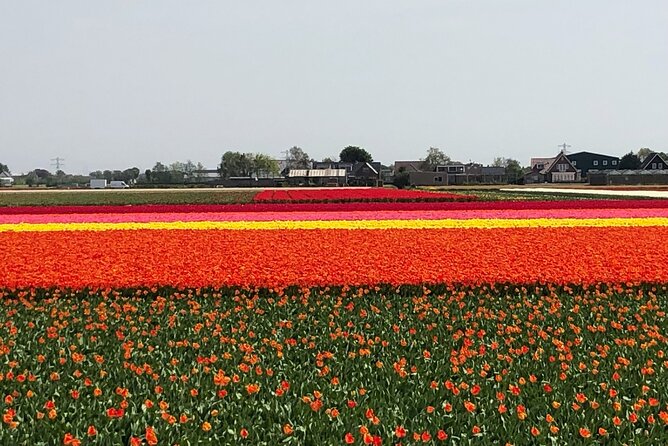 Keukenhof, Tulip Farm, Flower Fields & Zaanse Schans Windmills - Zaanse Schans Windmills: Working Heritage and Dutch Village Vibes