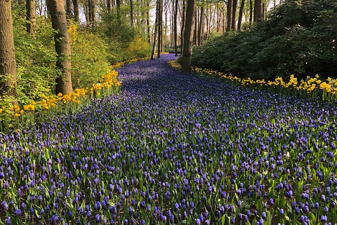 Keukenhof, Tulip Farm, Flower Fields & Zaanse Schans Windmills - Door-to-Door Pickup: Why 10:00 From Amsterdam Matters