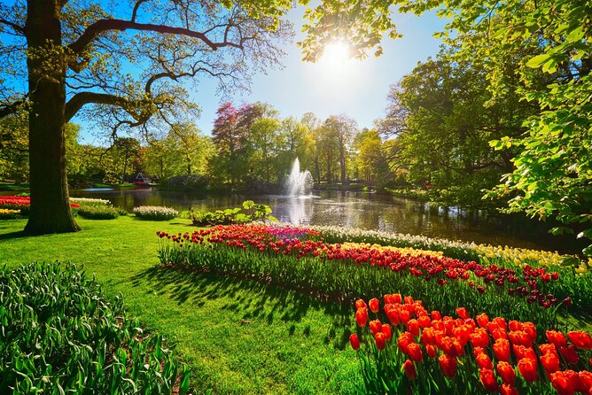 Keukenhof Tulip Garden Tour - Comfort Extras That Actually Help: Water, Wi-Fi, Charging, Parking
