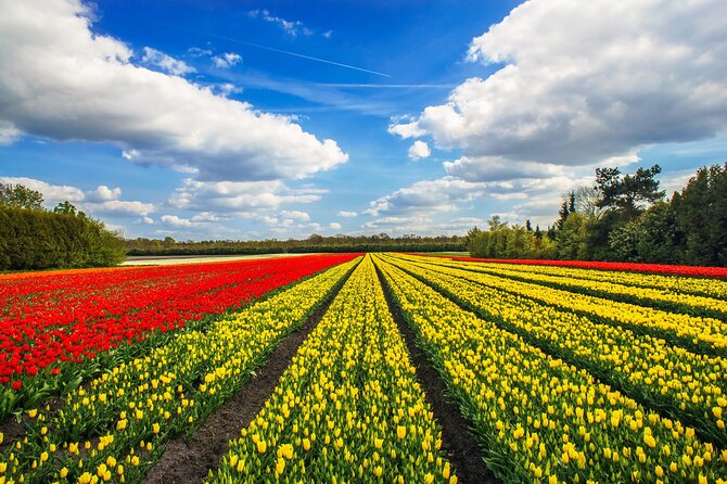 Keukenhof Tulip Garden Tour - Guided Insights Without Feeling Like a Classroom
