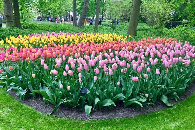 Keukenhof, Zaanse Schans Windmills Private Tour with Lunch - Clogs workshop demo and the real craft behind the souvenirs