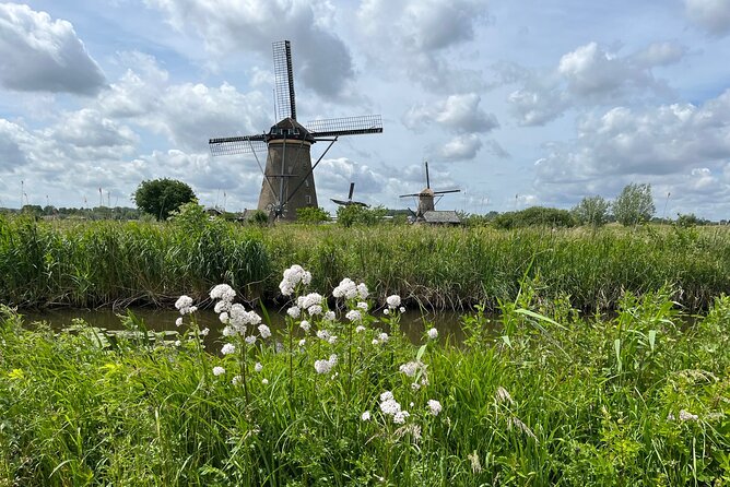 Kinderdijk Windmills, Delft City & Delft Blue Factory Visit - How this Amsterdam day trip saves time