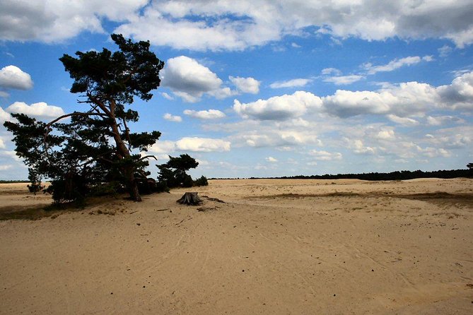 Kröller-Müller Museum and National Park Private Day Tour from Amsterdam - Key Highlights You’ll Actually Feel