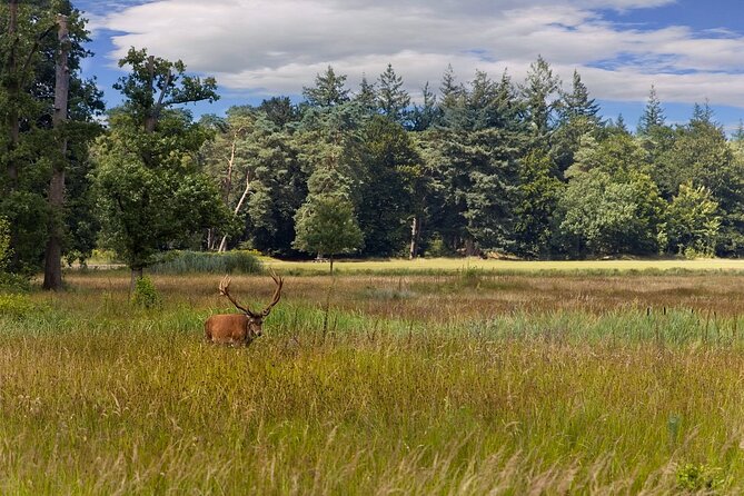 Kroller Muller Museum and Paleis Het Loo Private Tour - After the palace, you shift gears at Veluwe National Park
