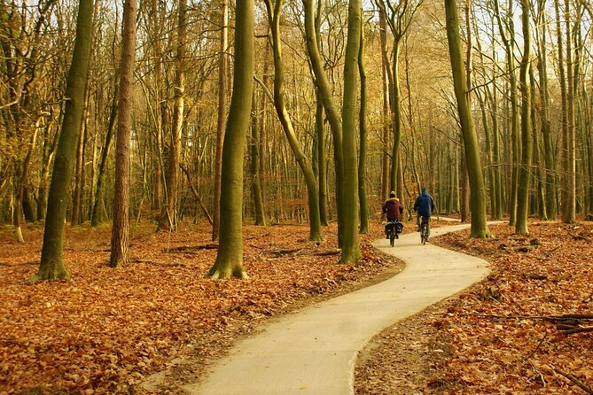 Kröller Müller Museum and Veluwe National Park Private tour - Getting from Amsterdam or Utrecht to the park (about 75 minutes each way)
