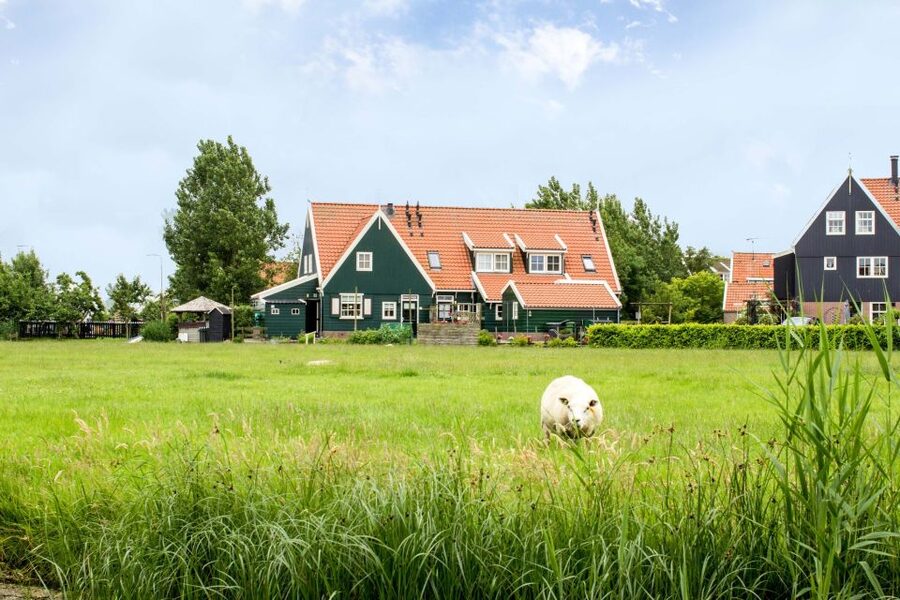 Marken, Volendam and Edam: Private Full-Day Tour - Price and Value: Is $340 Worth It?