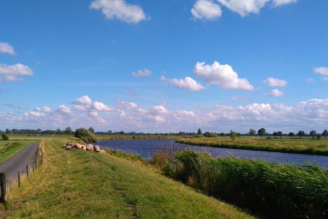 Off the beaten paths Dutch Country Side Private Tour in Jaguar - What you learn about Dutch culture beyond the city center