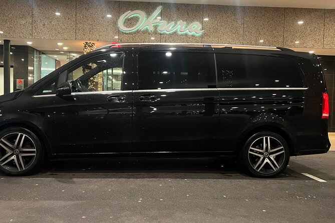 Private Airport Transfer Amsterdam Airport to or from Amsterdam - Drop-Offs That Match Your Day: Hotels, Landmarks, and Schiphol