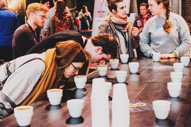Private Amsterdam Red Light District and Coffee Shop Tour with Expert Guide - Why a private Red Light District walk feels different